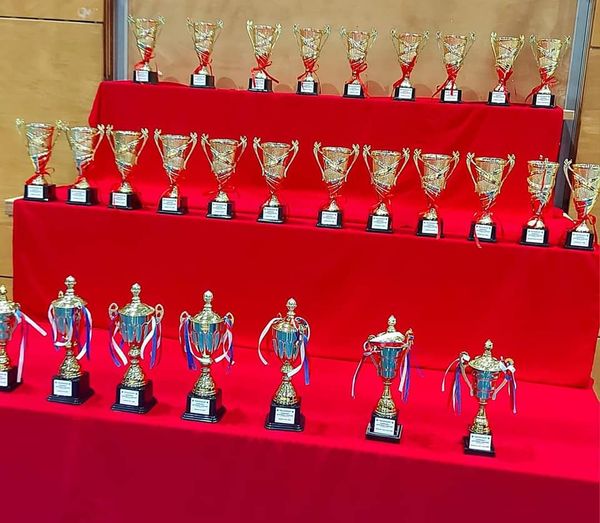Kampionati shtetror i Kosovës për grupmosha 7-U14 vjeç